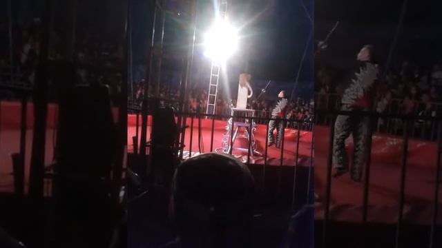 Цирк Шапито Звездный смотреть онлайн