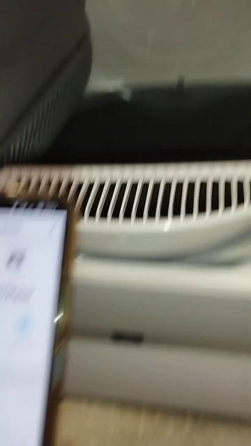 Автоматический лоток для кошек смотреть онлайн