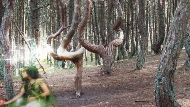 Здесь лапы у елей дрожат на весу смотреть онлайн