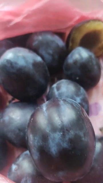 Купили вкусные сливы смотреть онлайн