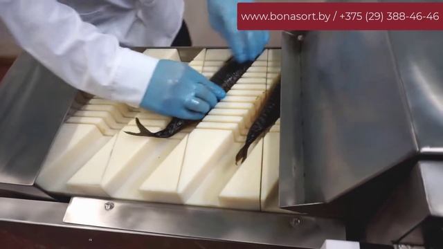 Машина для нарезки рыбы под углом с модульным транспо?