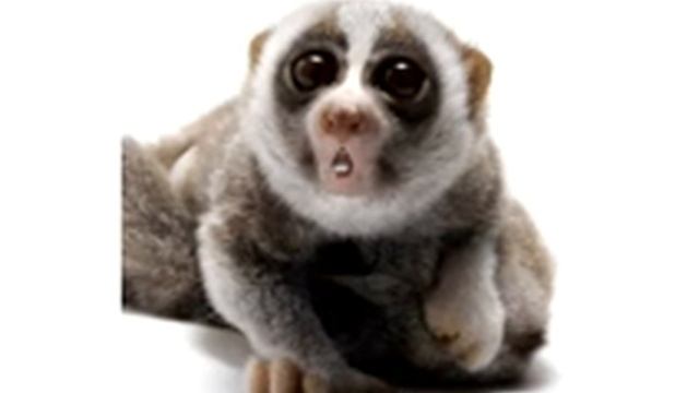 С днем рожденья, Вова! смотреть онлайн