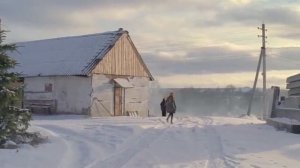 Жить 2012