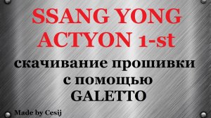 Ssang Yong Actyon 1. Скачивание прошивки Galetto.