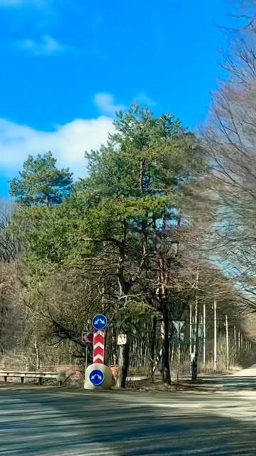 Кружит осенний листопад 🍂. До осени ещё далеко. #music #р? смотреть онлайн