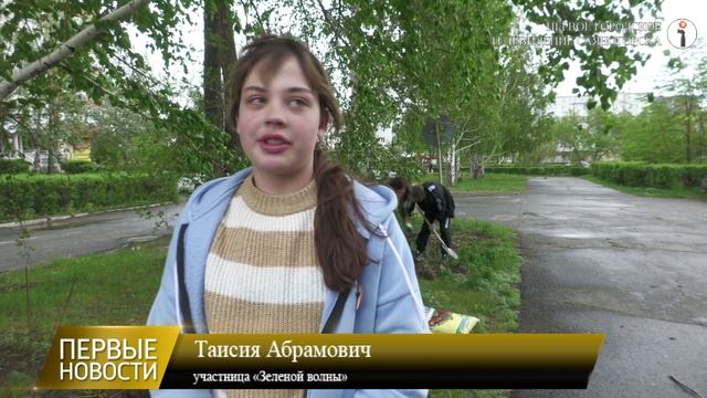 «Зелёная волна» озеленила Саяногорск спиреями, гортензиями и соснами