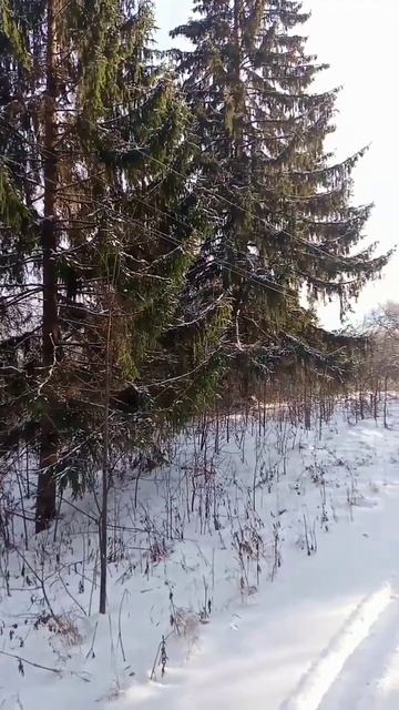 Луч солнца золотого. Как я открывал сезон лыж смотреть онлайн