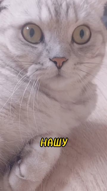 Лютик и Мася "про пылесос" смотреть онлайн