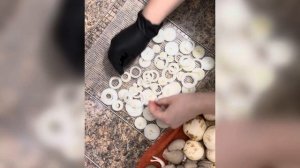 Сушеный ЛУК. Как приготовить в сушилке дегидраторе лу?