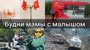 Вышла на работу/Гуляем/Заболел снова