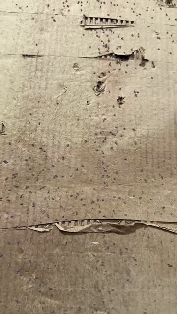 Сепаратор с автоматическим сливом SGO78 смотреть онлайн