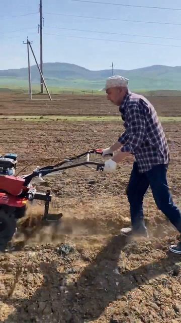 Будем сажать тыкву #фазенда #тыква смотреть онлайн