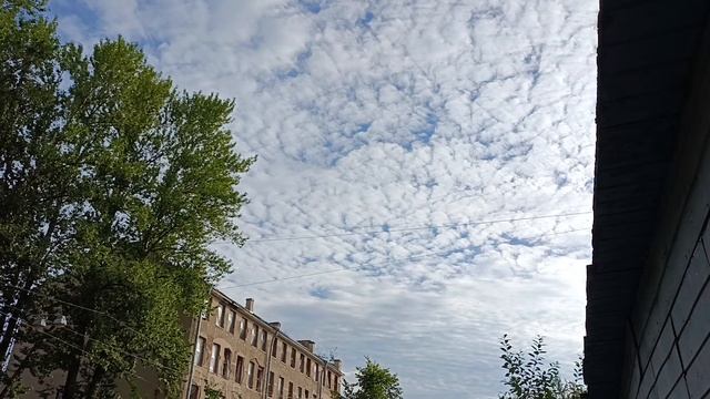 2024.08.16. Погода Петербург. 08:30. +19°. Очень жарко. День мали смотреть онлайн
