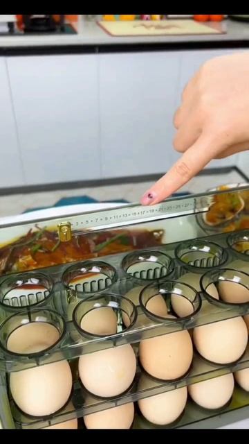 Контейнер для яиц с автоматическим откидной крышкой #? смотреть онлайн