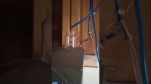 Третий перегон на самагонном аппарате Бахус. Работа с