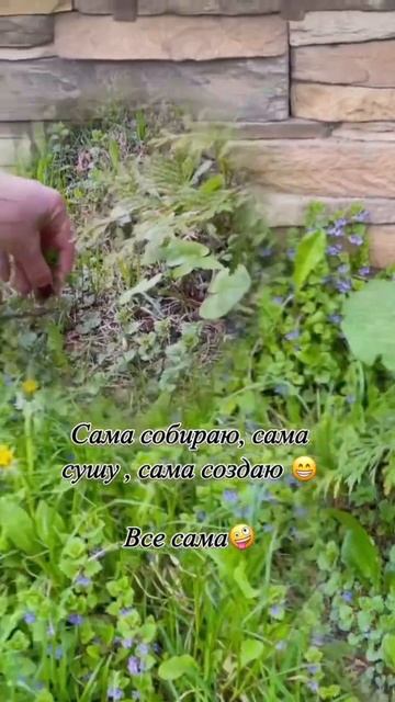 Сбор травы БУДРА для свечей, которые я создаю для Вас #? смотреть онлайн