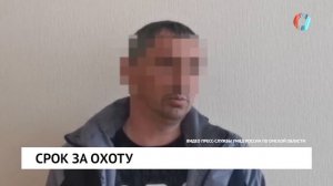 Срок за охоту