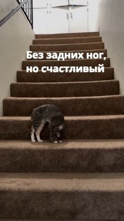 Уставшие но довольные риелторы в конце рабочего дня)