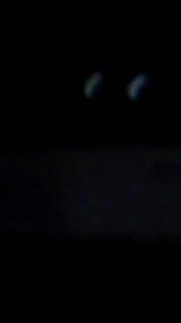 В моей квартире призрак!!в телевизоре шок!!!!!помогите смотреть онлайн