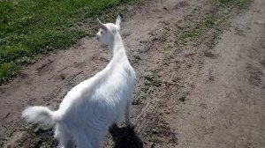 ЗАДИРИСТАЯ МАЛЯВКА😃😉😏