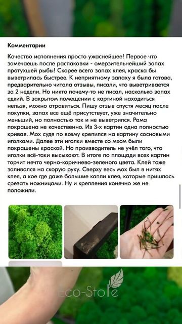 Хотите заказать панно из мха с ВБ, озон ДЕШЕВО? Покажем