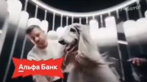 Реклама "Альфа Банк" Продолжай (2025) Версия 2