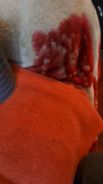 фильтр гп 4у смотреть онлайн