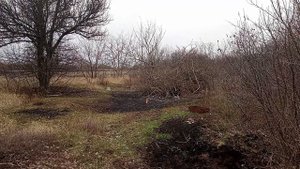 Мощная дымовая шашка своими руками эксперимент  🔥💀?