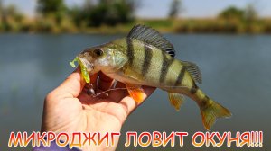 МИКРОДЖИГ ловит ОКУНЕЙ даже в жару 💪💪💪