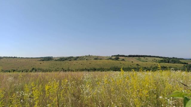 4k relax. Summer meadow in the Carpathians. Лето в Карпатах смотреть онлайн