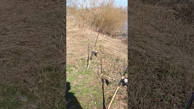 Рыбалка на грунт весной. 03.03.2024 река Майн смотреть онлайн