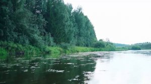 НАШ АМБАР К СЕЗОНУ ЗАГОТОВОК ГОТОВ! ЕДЕМ НА ЯРМАРКУ ЗА ПОКУПКАМИ | КУПИЛИ КАТЕ ПЛАТЬЕ | СБОР ГРИБОВ