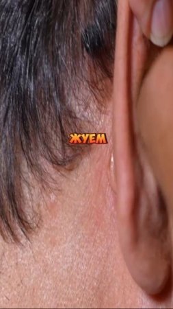 Ушная сера