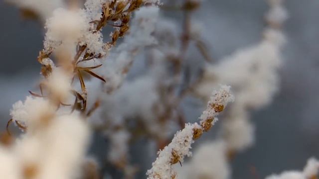 Погода в Братске на неделю смотреть онлайн
