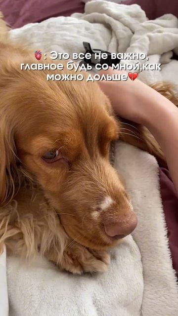 Для уборки теперь использую, только специальное средс смотреть онлайн