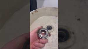 Bosch 6 series замена подшипников и сальника на барабане. Бо?