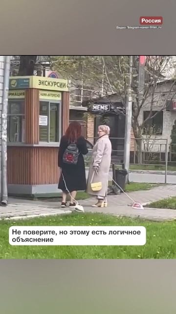 В России стали выгуливать... утюги. Зачем? #shorts #shortsvideo #sh смотреть онлайн