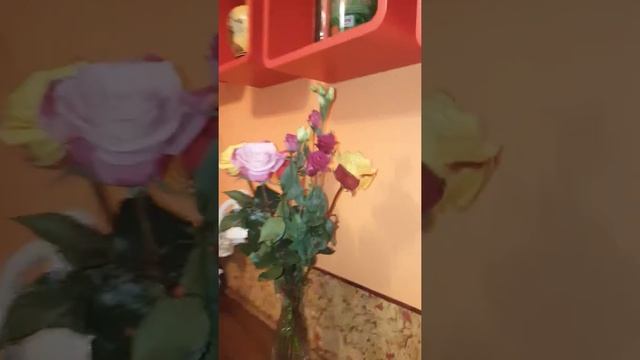 в сауне моей мамы😄 смотреть онлайн