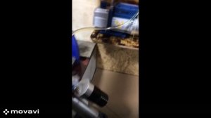 Вакуумация амортизатора мотоцикла c PDS  WP vacuum bleeder