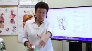 Методы самопомощи при геморрое. [Шишова О.И.]