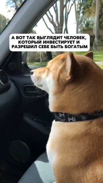 Хотите начать инвестировать в криптовалюту?Регистра? смотреть онлайн