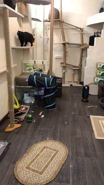 Ну, мы ели консервы, играли , потом веселье зашло слишк? смотреть онлайн