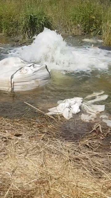 Пруд полторы уходит сквозь пальцы 😉🚱 смотреть онлайн