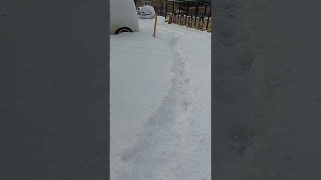 29 апреля 2025 г., 8:45:25
Двор Сибирская 73
VID_20250429_084316513