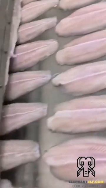 SUS304 Туннель с морозильной камерой Филе тилапии Процес смотреть онлайн
