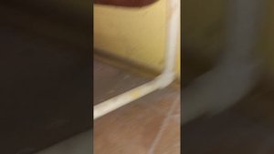 Хозяйку бьёт током вода из мойки.