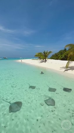 Мальдивы - райский уголок❤🌴