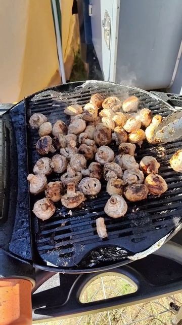 Готовим на O-GRILL.