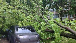 В Солнечнодольске стихия повалила деревья и повредила водовод