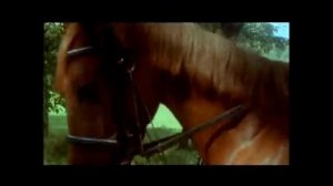 Белый Орёл - Как упоительны в России вечера